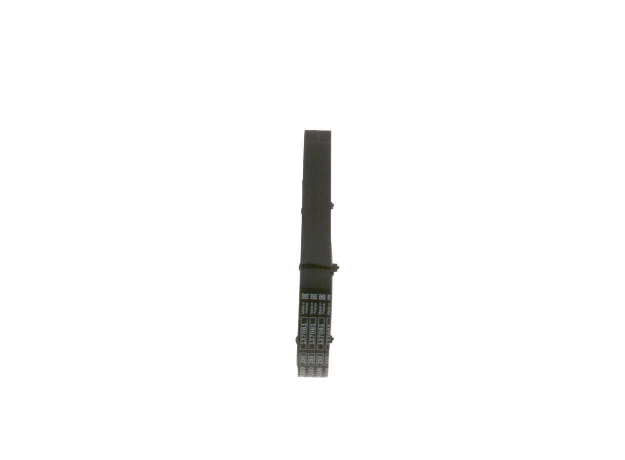 Kanalli Kayis 6PK1020 | BOSCH 1987947817
