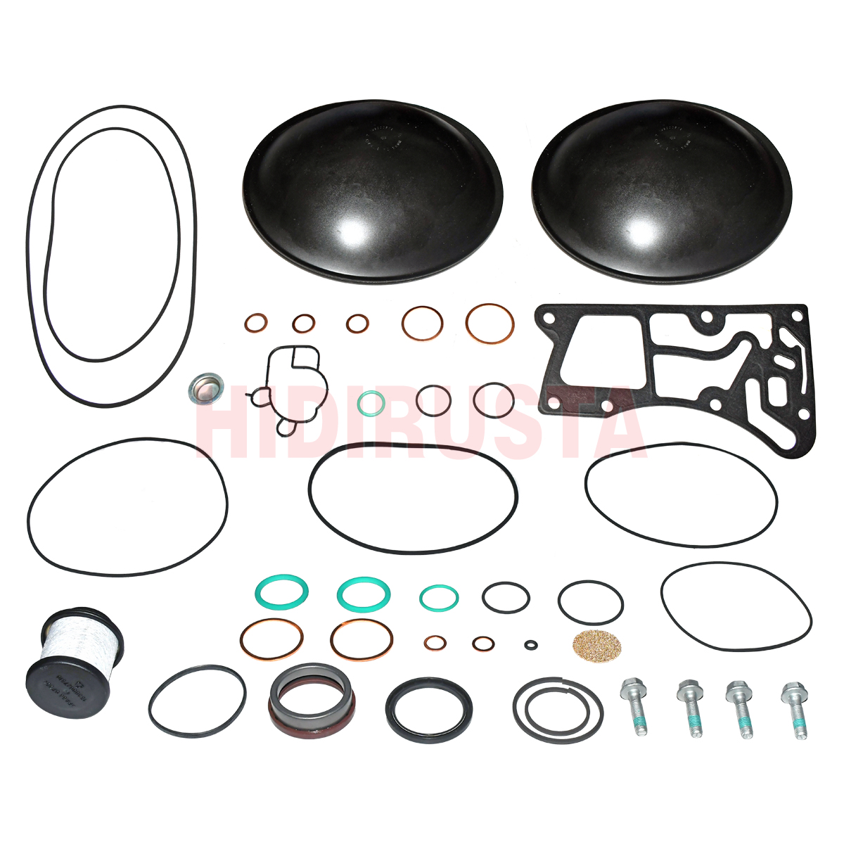 Retarder R115Hv Axor, Actros Tamir Takımı (Komple) | OEM A0004304795