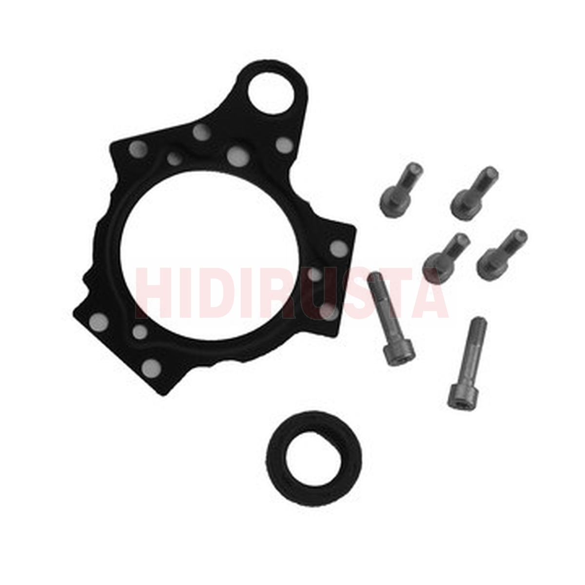 Flanş Conta Seti Dv4 | OEM X39800300019Z