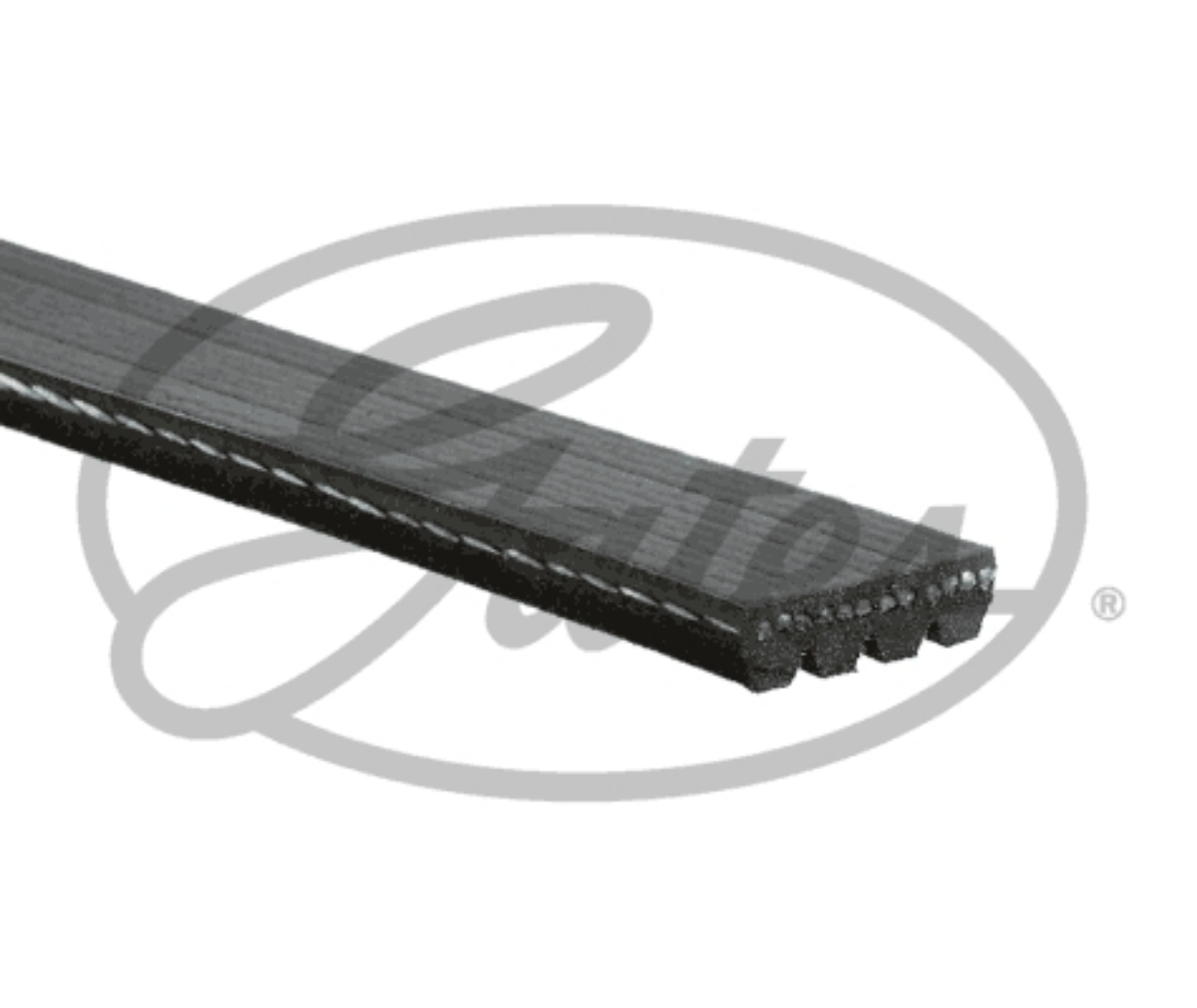 Kayış 4Pk1313 (4Pk1315) Otobüs Euro 6 | OEM A0029937196