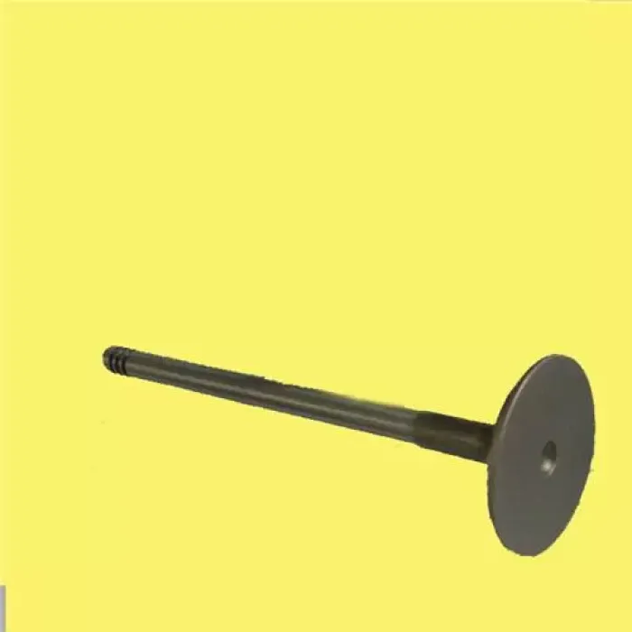 Subap Takimi R12 1,4 (In 4 / Ex 4) | GUNES 4609-4610 | OEM 7700682064 7700666112