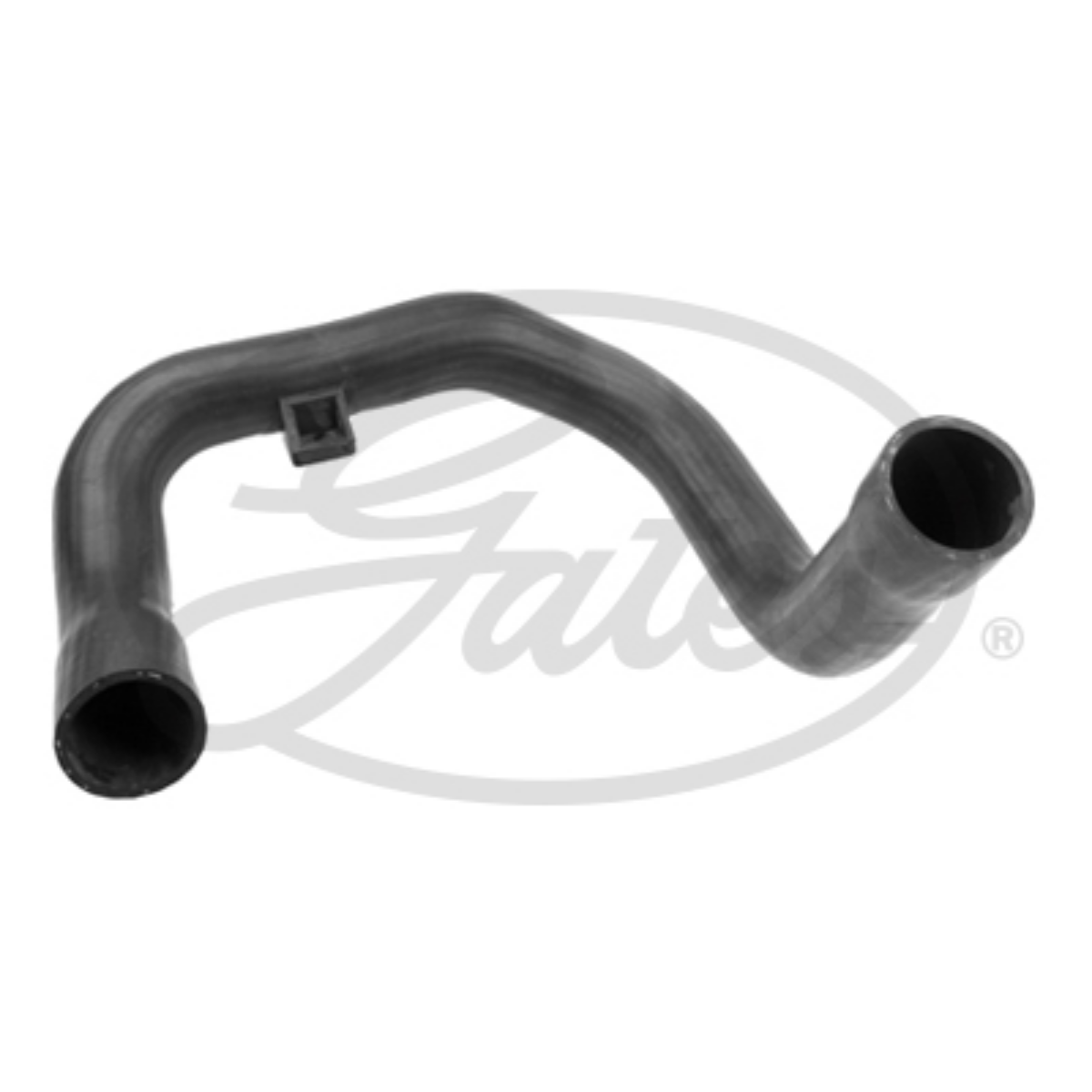 Radyatör Alt Hortum DAF Lf-Cf | OEM 1371353