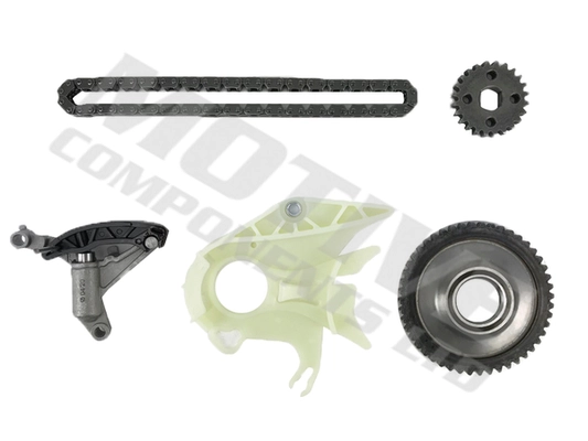 Yag Pompa Zincir Seti BMW F20 F21 F22 F30 F31 N20 N26 N55 | MOTIVE TCK251 | OEM 11417605366