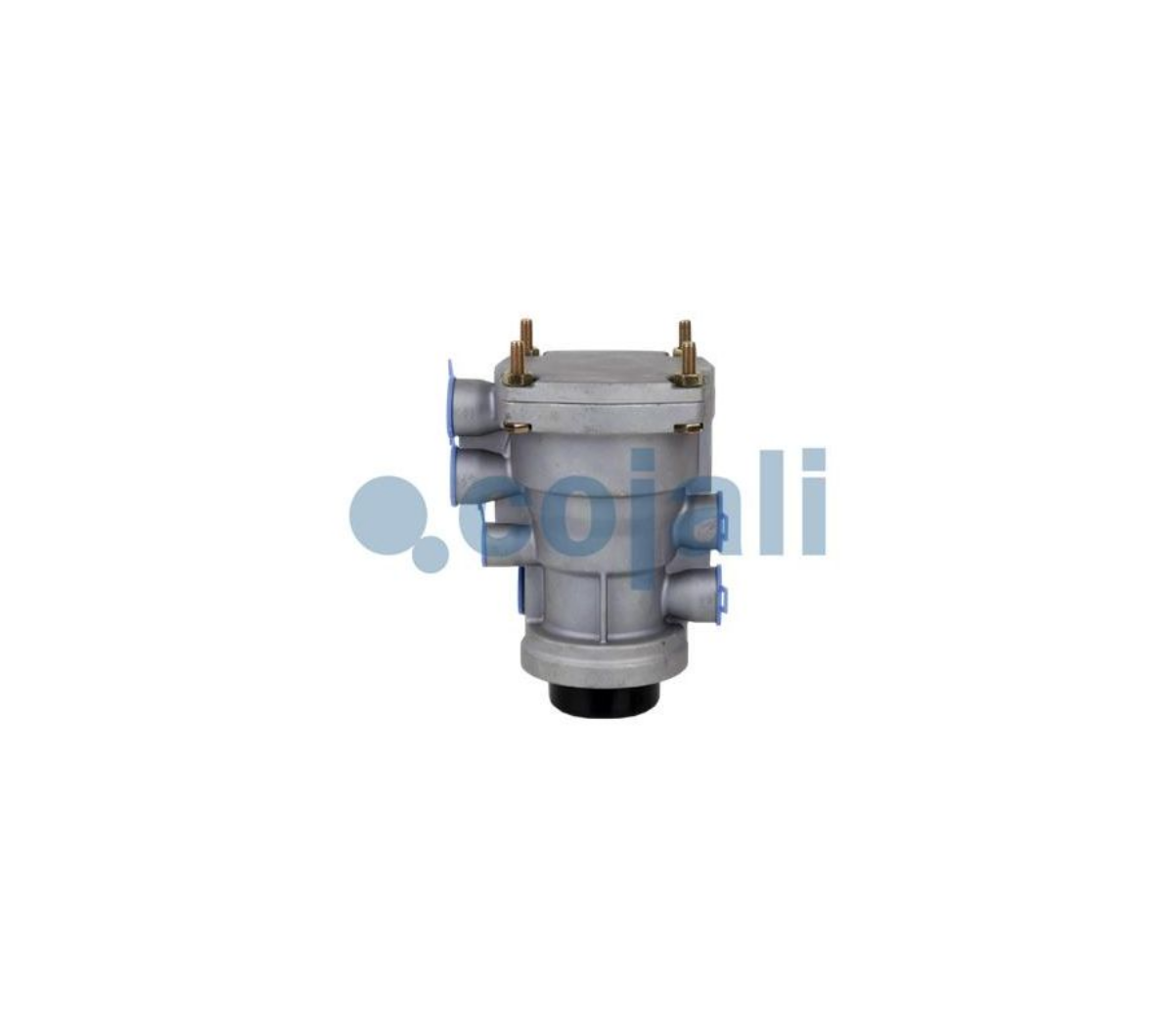 Romork Kumanda Valfi Renault | OEM 5010260938