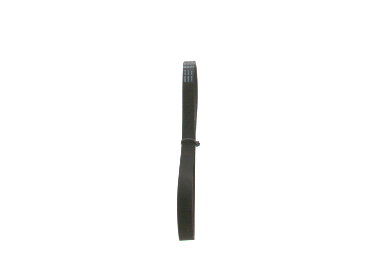 Kanalli Kayis 6PK0923 | BOSCH 1987947938 | OEM 028903137AM