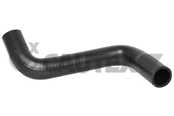 Radyator Alt Hortum Mondeo III 1,8 16 / 2,0 16V 00>07 | YTT Y40302 | OEM 1S718286DG