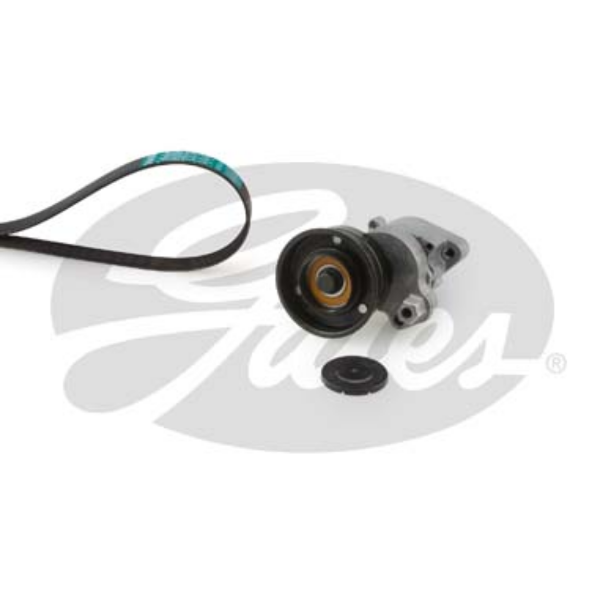 Gergi Seti (T38572 + 8PK1715HD) DAF CF85, XF95 | OEM 1628148