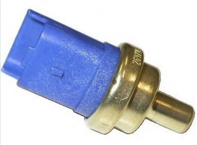 Hararet Musuru Ducato Boxer Jumper 2 DW10TD DW12UTED 2.0HDI 2.2HDI | VERNET WS2610 | OEM 1338C0