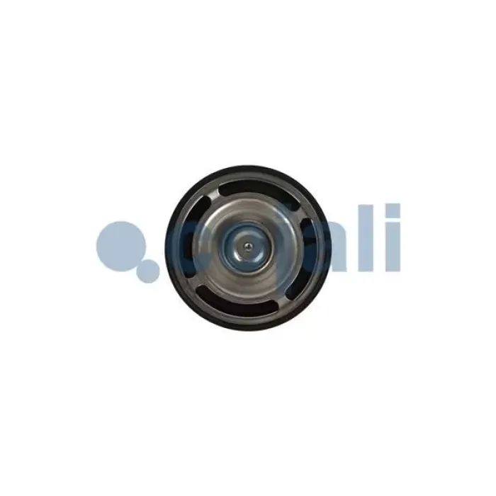Termostat (82°) Renault Premium 420 / 440 / 460 / Volvo Fh-Fm Y.M. Euro 5 | COJALI 2880274 | OEM 21613426 7421613426