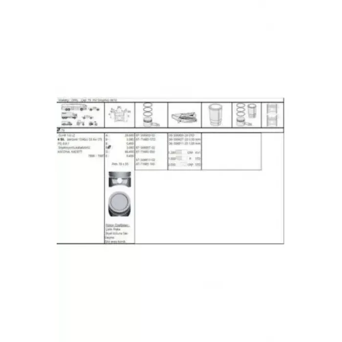 Motor Segman 16SV C16NZ 1.6 8V Kadett E Vectra A Astra F 79.75MM 075 (1.2X1.5X3.0) | AKD 222-3538-75 | OEM 632263