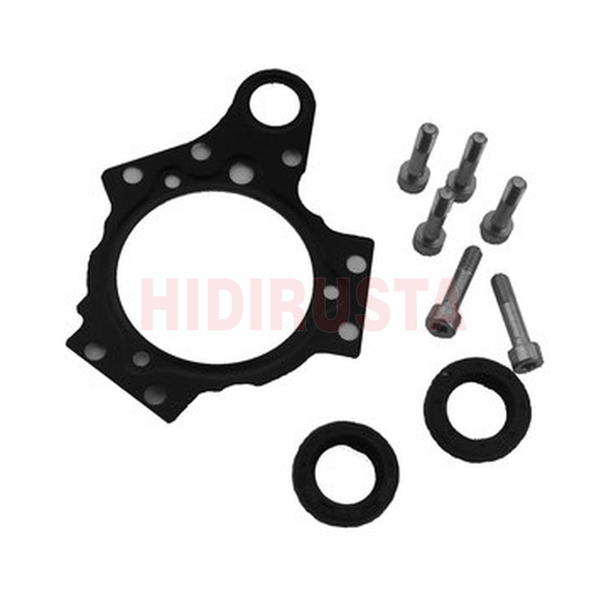 Flanş Conta Seti Dw10B | OEM X39800300020Z