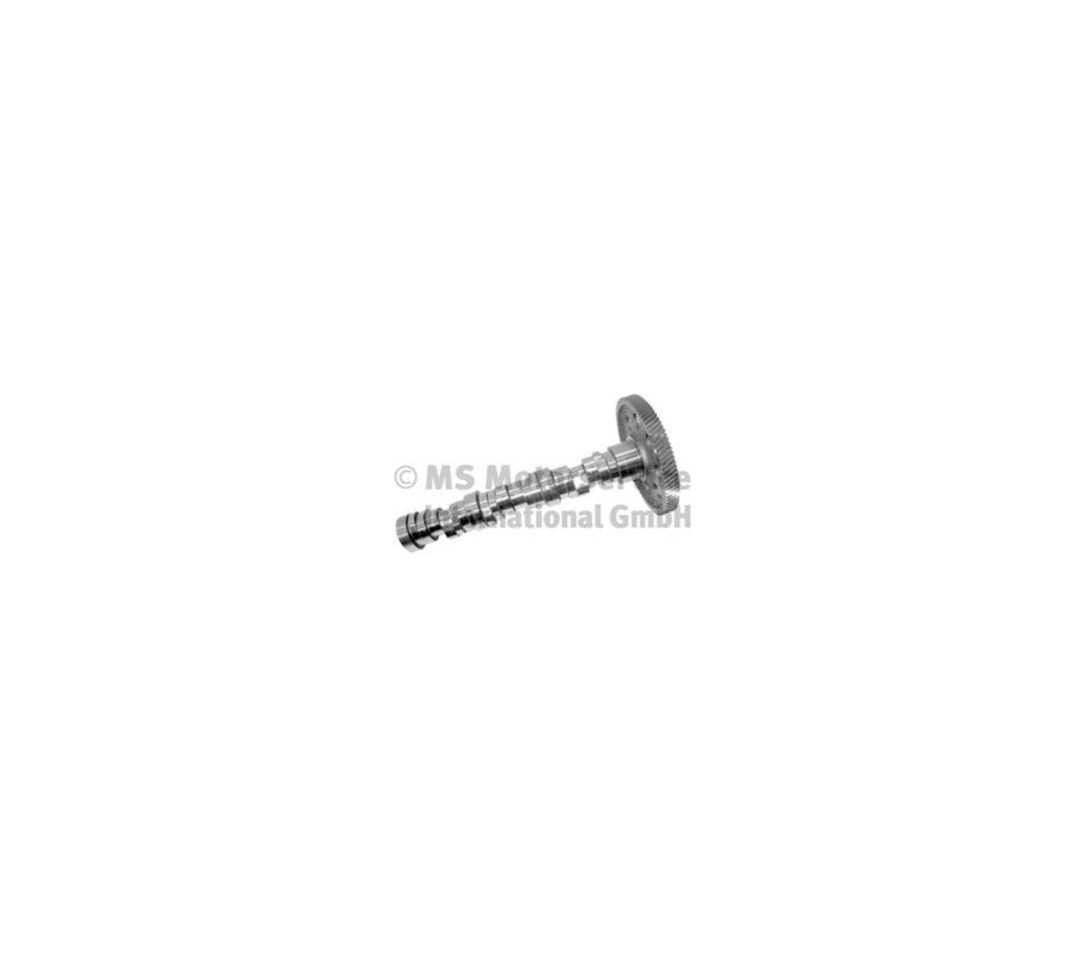 Eksantrik Mili 501 La | OEM 5410501001