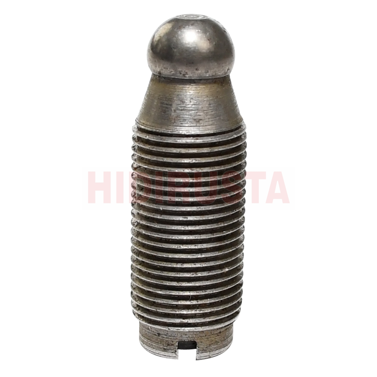 Supap Ayar Cıvatası 2521 | OEM 3120550321