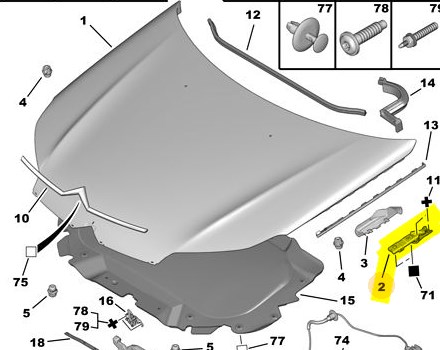 Motor Kaput Mentesesi Sag C5 (Montaj) | LUVI 0040.7913.43 | OEM 7913.43