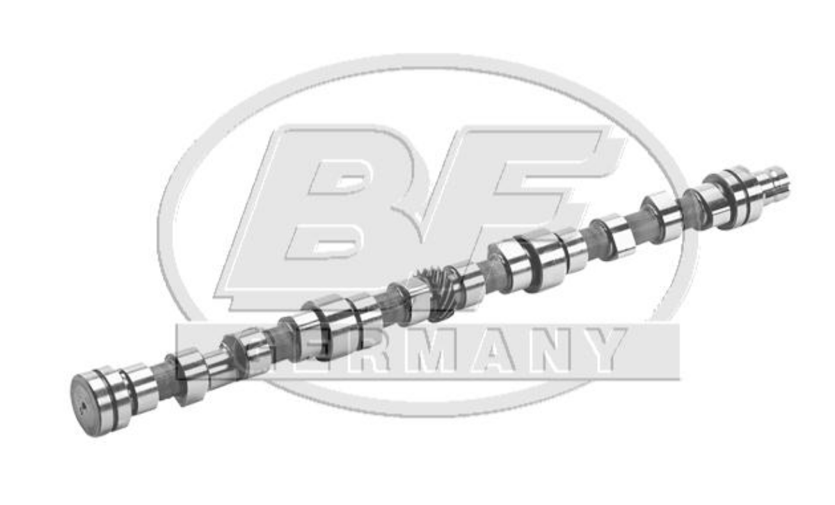 Eksantrik Mili 2521, 2524, 2517 | OEM 3660500401