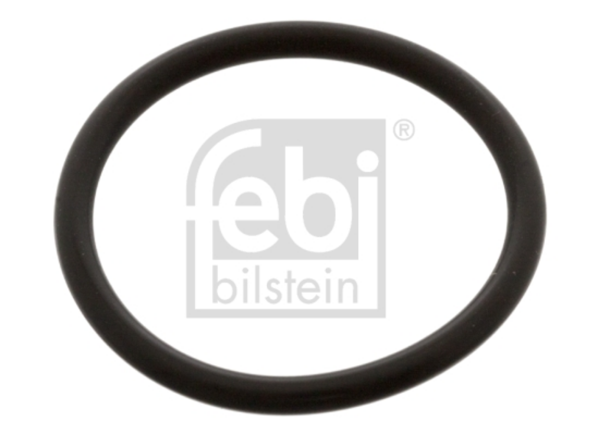Su Boru Oringi | OEM 0 810 970