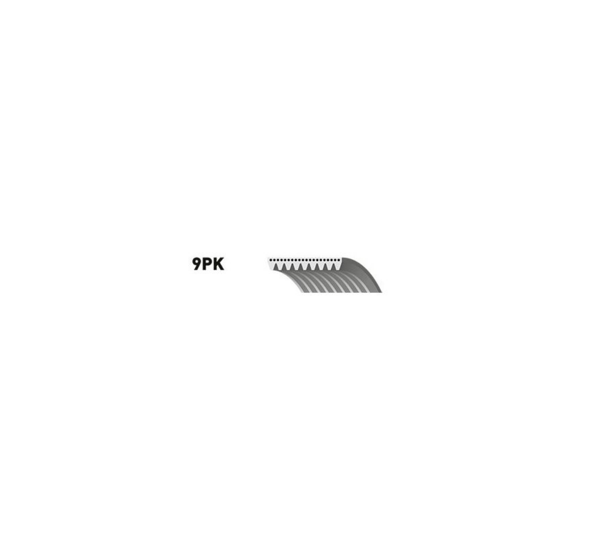 Kayiş 9Pk2835 Actros Klimali | OEM 5419970992