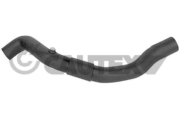 Radyator Ust Hortumu R19 1,9D | YTT Y50402 | OEM 7700793247