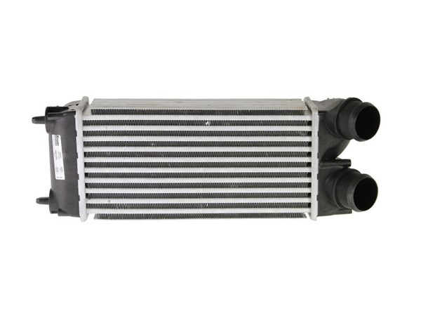 On Amortisor Sol Gazli Zafira 99> | SACHS 560 537 | OEM 344000 344041