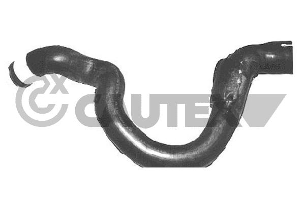 Radyator Alt Hortumu Clio I 1,1 / 1,2 | YTT Y51112 | OEM 7700801059
