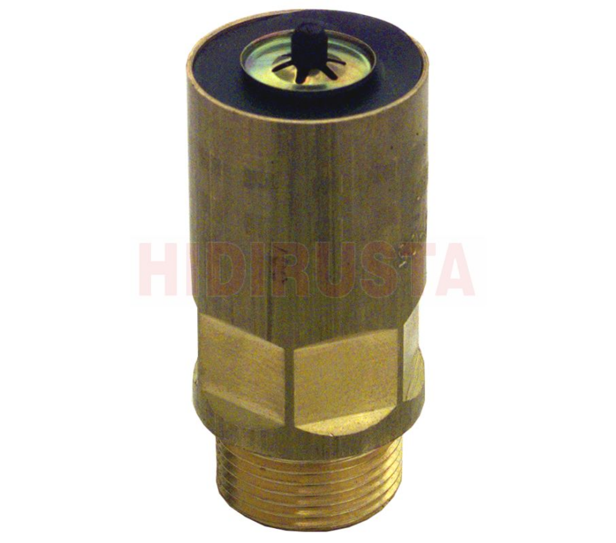 Hava Tüpü Emniyet Ventili | OEM 0054290244