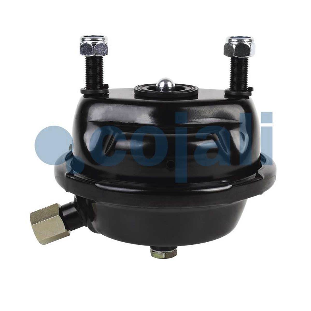 Servis Fren Körüğü, Disk Tipi Axor Ön Sol-Sağ Uyumlu (Tip 24) | OEM A0084201024