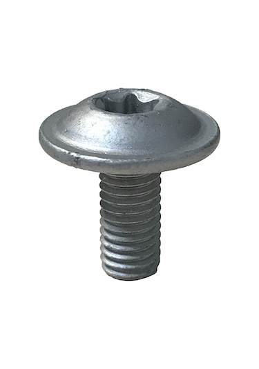 Basamak Gövde Vidası Axor 8mm. | OEM 0009849529