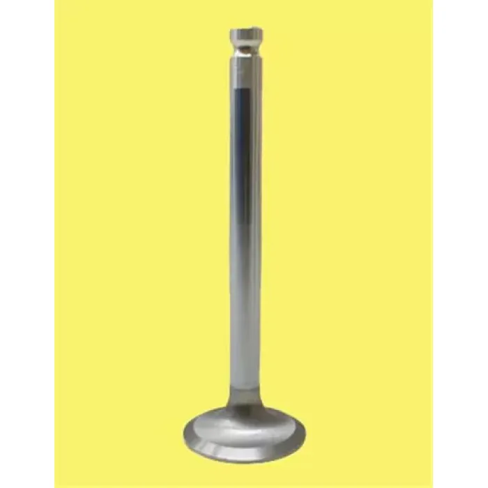 Subap Takimi Doblo Brava Bravo Marea 1,9TD (In 4 / Ex 4) | GUNES 2462-2463 | OEM 46527855 46527856