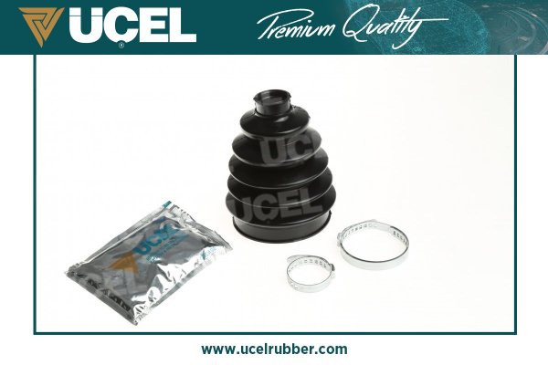 Aks Korugu Dis Master III | UCEL 10891 | OEM 392417848R