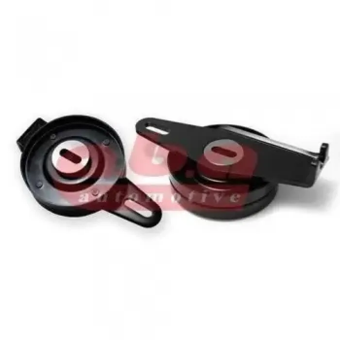 V Kayis Gergi (Alternator) Rulmani Boxer Jumper DJ5 DJ5T DJ5TED (97 00) | ABA 25404007 | OEM 4007E4