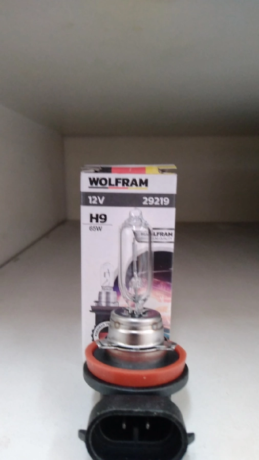 Ampul 12V H9 65W PGJ19-5 H 9 Standart Işık | OEM 29219