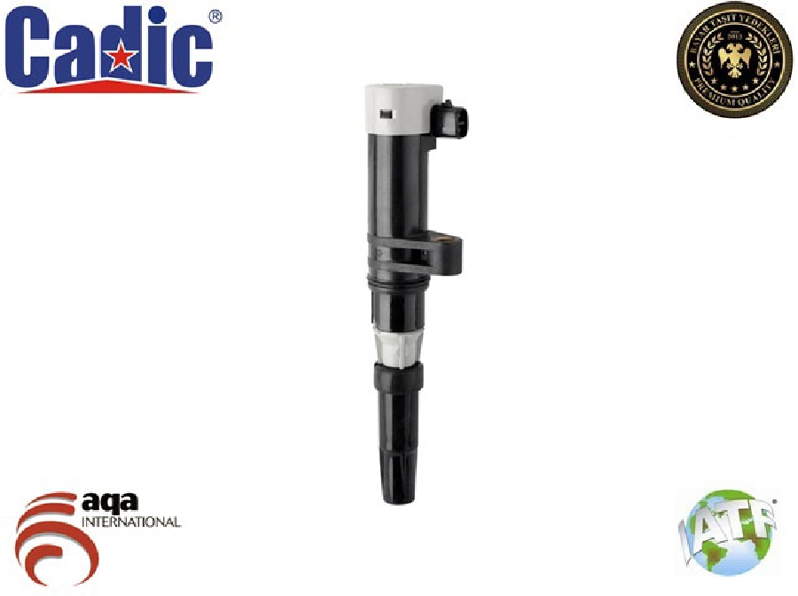 Bobin Ateşleme - Megane-Kangoo-Laguna-Clio 2 1,6 16V 7700107177 | OEM 45004177