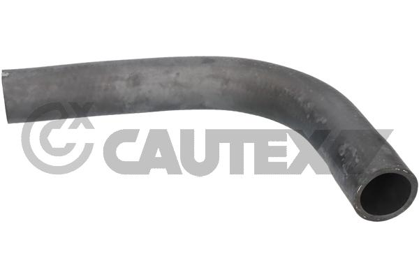 Radyator Ust Hortumu Clio I Express 1,2 / 1,4 | YTT Y51107 | OEM 7700801054