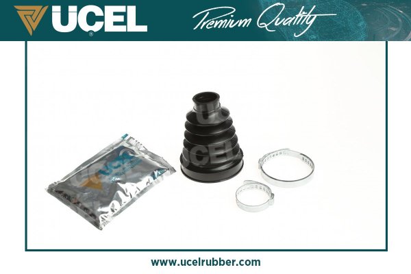 Aks Korugu Ic Megane Scenic III Kangoo III Laguna III Fluence | UCEL 10669 | OEM 7701209992