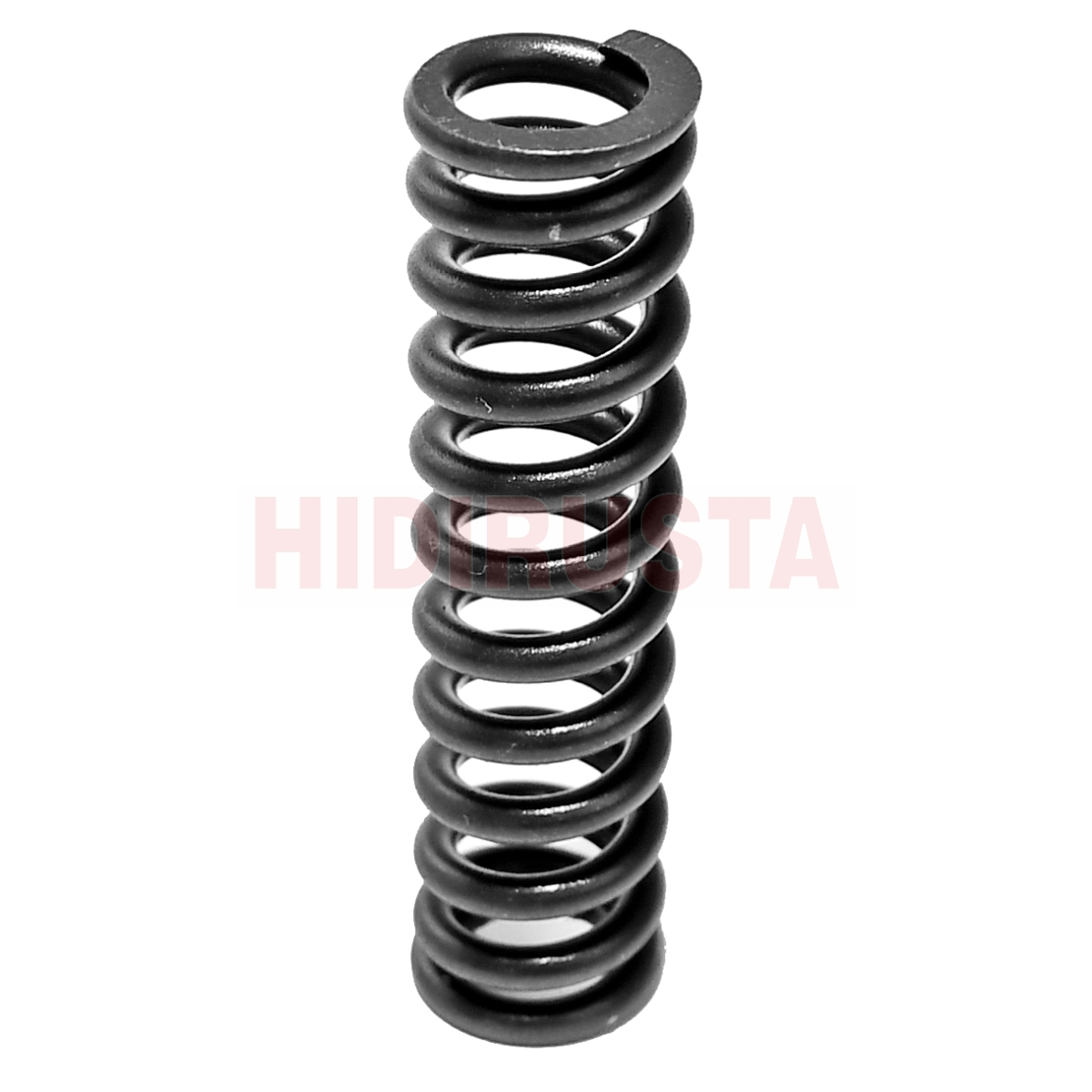 Eksantrik Dişli Yayı 2521 | OEM A3669930501