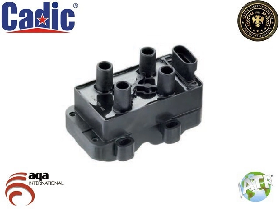 Ateşleme Bobini - Clio 2-Kangoo 1.6 98-07 7700873701 | OEM 45004701