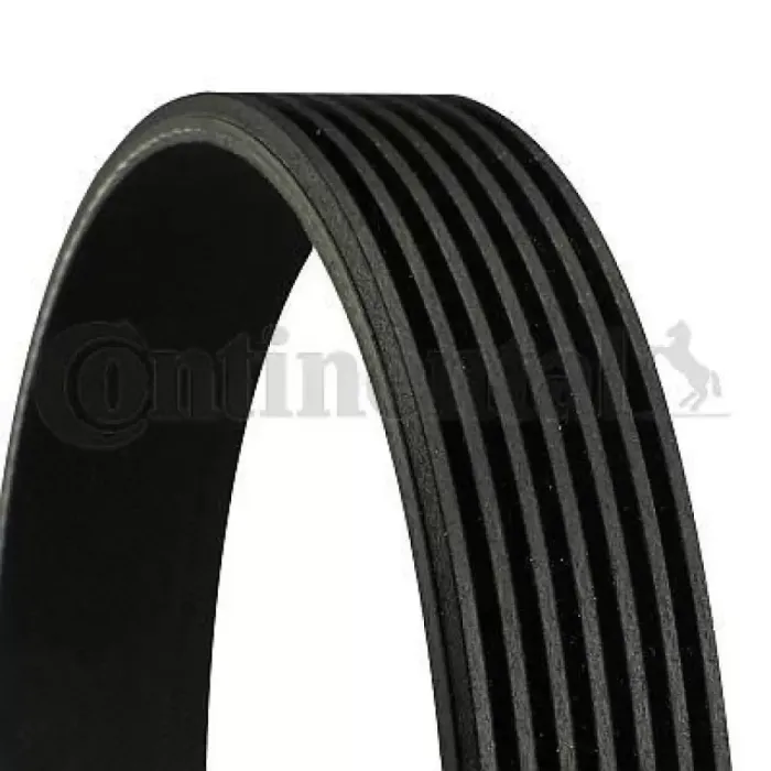Kanalli Kayis (Europa) Tourneo Transit 2.4TDDI 16V (00 03) 2.4TDCI 165V 06=> (78515) | CONTI 7PK2875 | OEM YC1E 6C301 DB 1129182