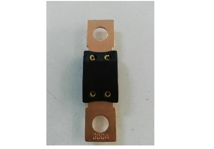 Sigorta Megaval Tip 300A | OEM ITH-SMG300