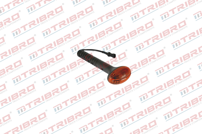 Çamurluk Sinyali Sol Eurocargo 03-