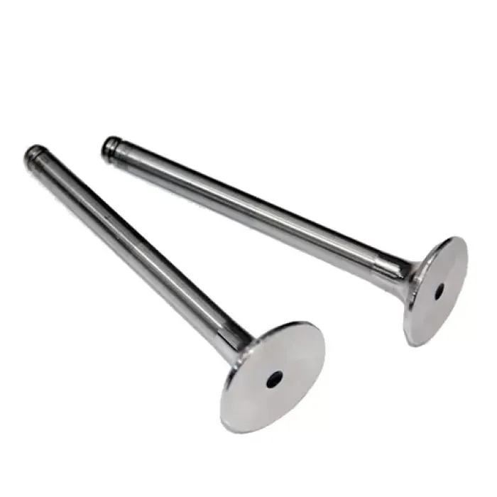 Subap Takimi R19 Dizel Kangoo 1,9 (In 4 / Ex 4) | GUNES 4686-4687 | OEM 7701469369 7701469373