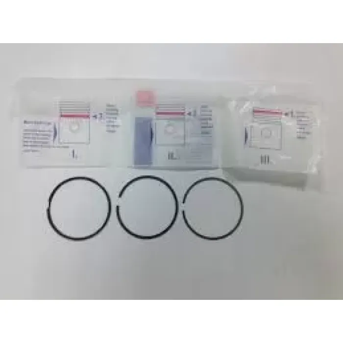 Motor Segmani Punto II Stilo Idea Doblo Punto Fiat 500L 1,4 8V 90HP (72,00mm) / (0,40) (1,00*1,20*2,00) | GOETZE 68443065G | OEM 71745097