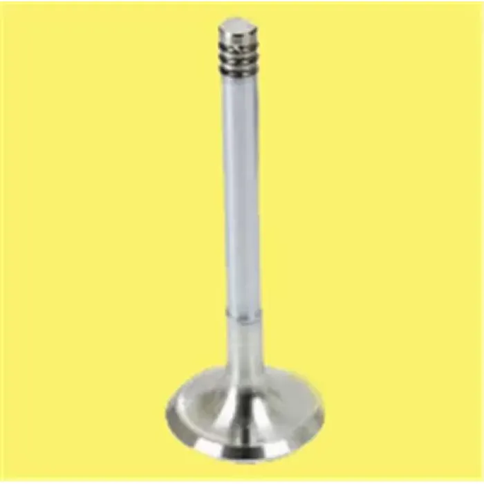 Subap Takimi Audi Diesel 80 Cc Cd Golf Jetta (In 4 / Ex 4) | GUNES 0247-0248 | OEM 068109601L 068109611L