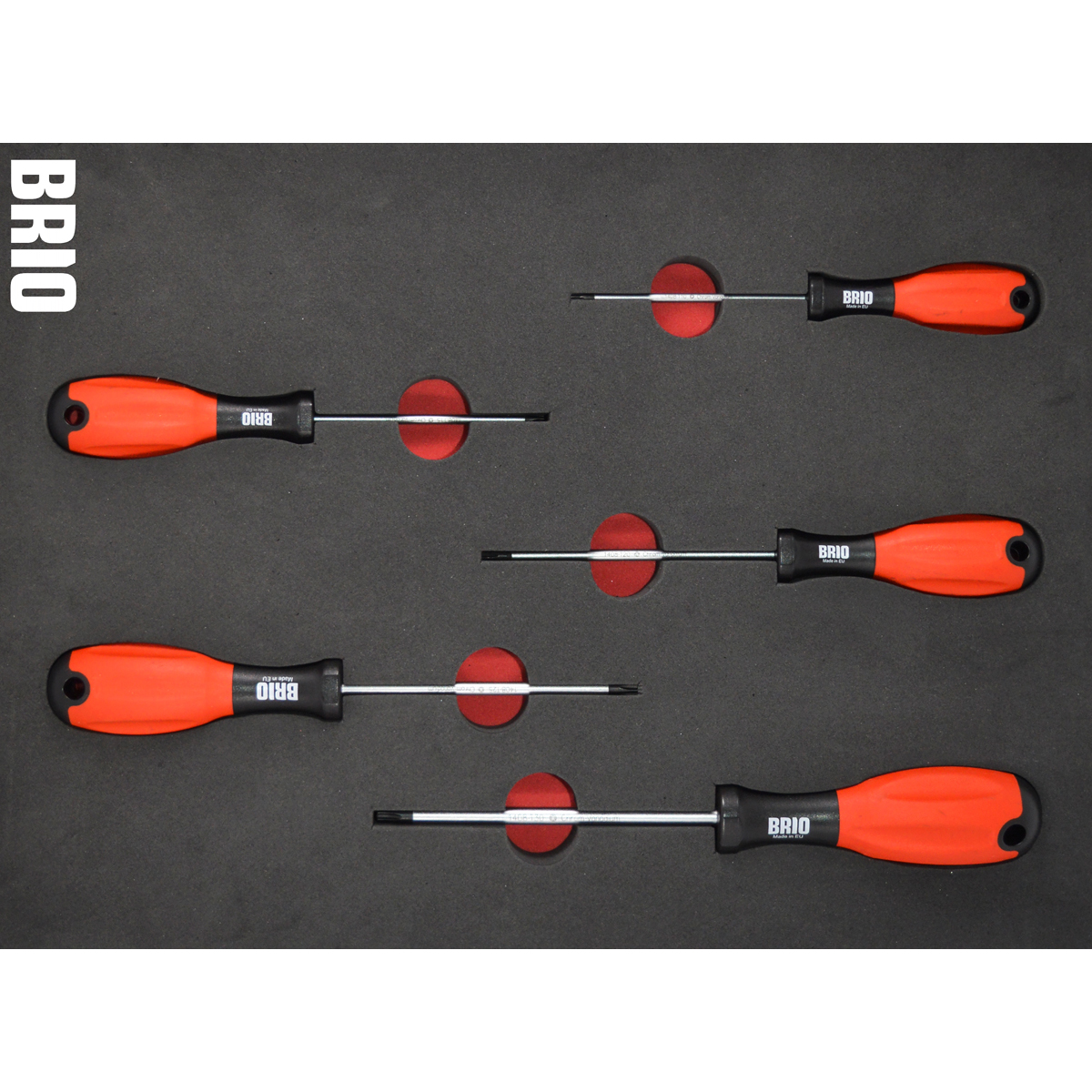 Tornavida Seti Torx 5 Parça T10-T30 Sünger Yataklı