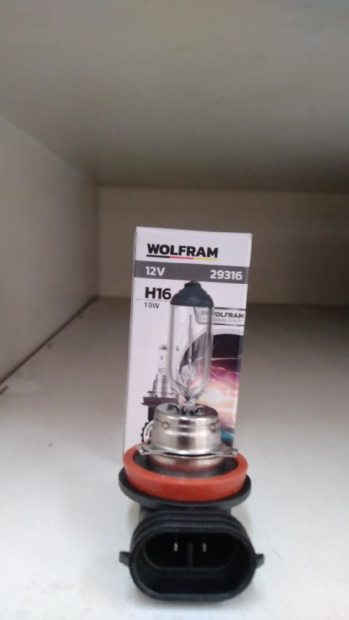 Ampul 12V H16 19W PGJ19-3 H 16 Standart Işık | OEM 29316