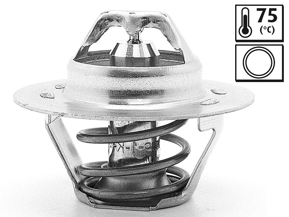 Termostat 204-304 75C | VALEO 819859 | OEM 133720
