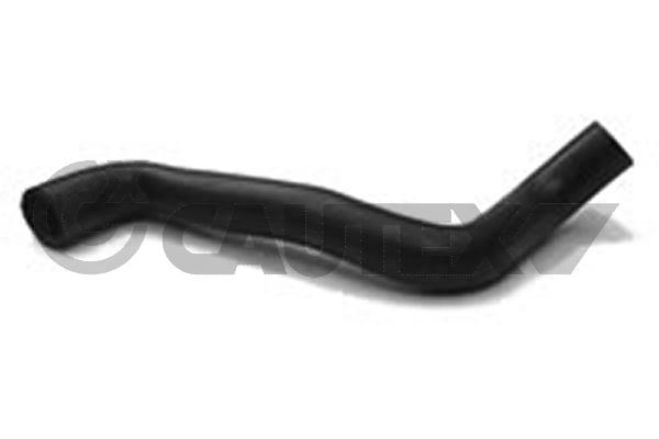 Radyator Alt Hortumu R19 1,4 | YTT Y50413 | OEM 7700790234