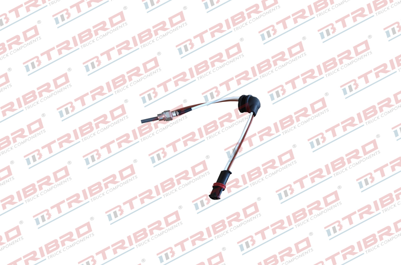 Kızdırma Bujisi Ebshr D2, D4, D4S 12V | OEM 252069011300