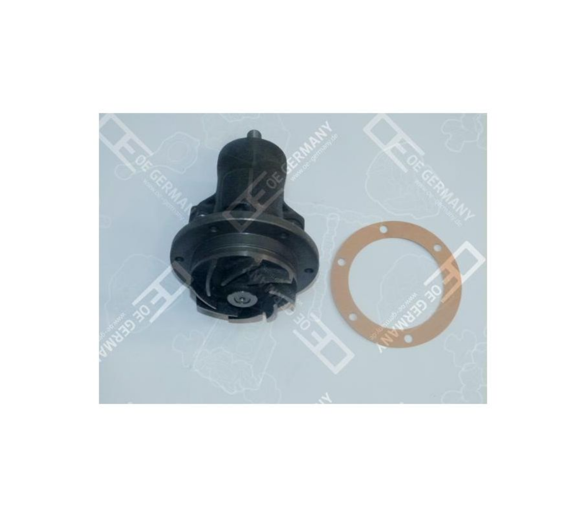 Devirdaim Renault Magnum Ae | OEM 5010248921