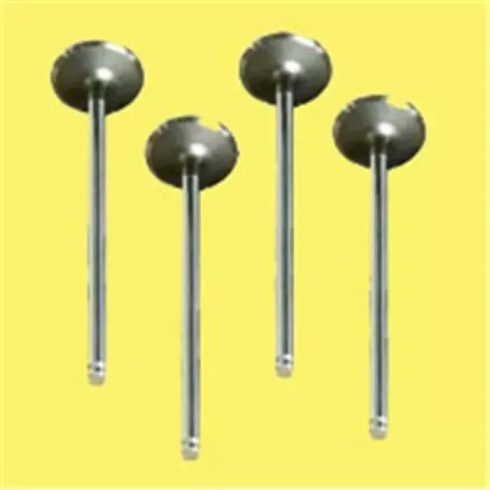 Subap Takimi R11 Flash 1700 (In 4 / Ex 4) | GUNES 4629-4630 | OEM 7701463081 7701463082