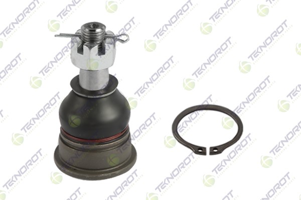Rotil Alt Nissan Almera 95-00 Sunny III 89-96 100 Nx 90> 94> Primera P11 96-01 | TEKNOROT N-202 | OEM 4016050Y00